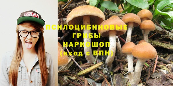 мяу мяу мука Алексин