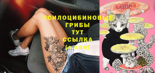 мяу мяу мука Алексин
