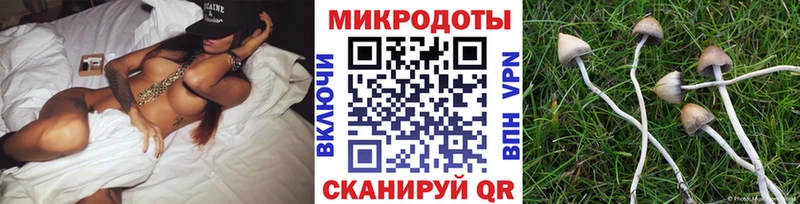 купить наркотик  Александров  omg ONION  Галлюциногенные грибы Magic Shrooms 